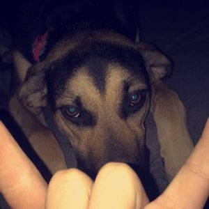 Meet your Posher, Brody